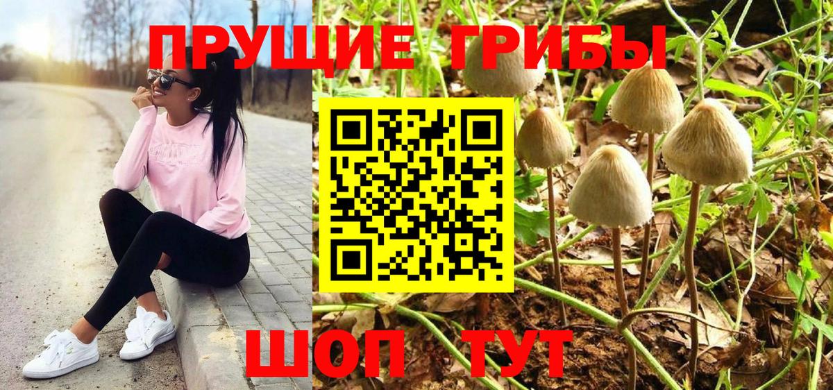 Псилоцибиновые грибы ЛСД  Вход с VPN  Сальск 